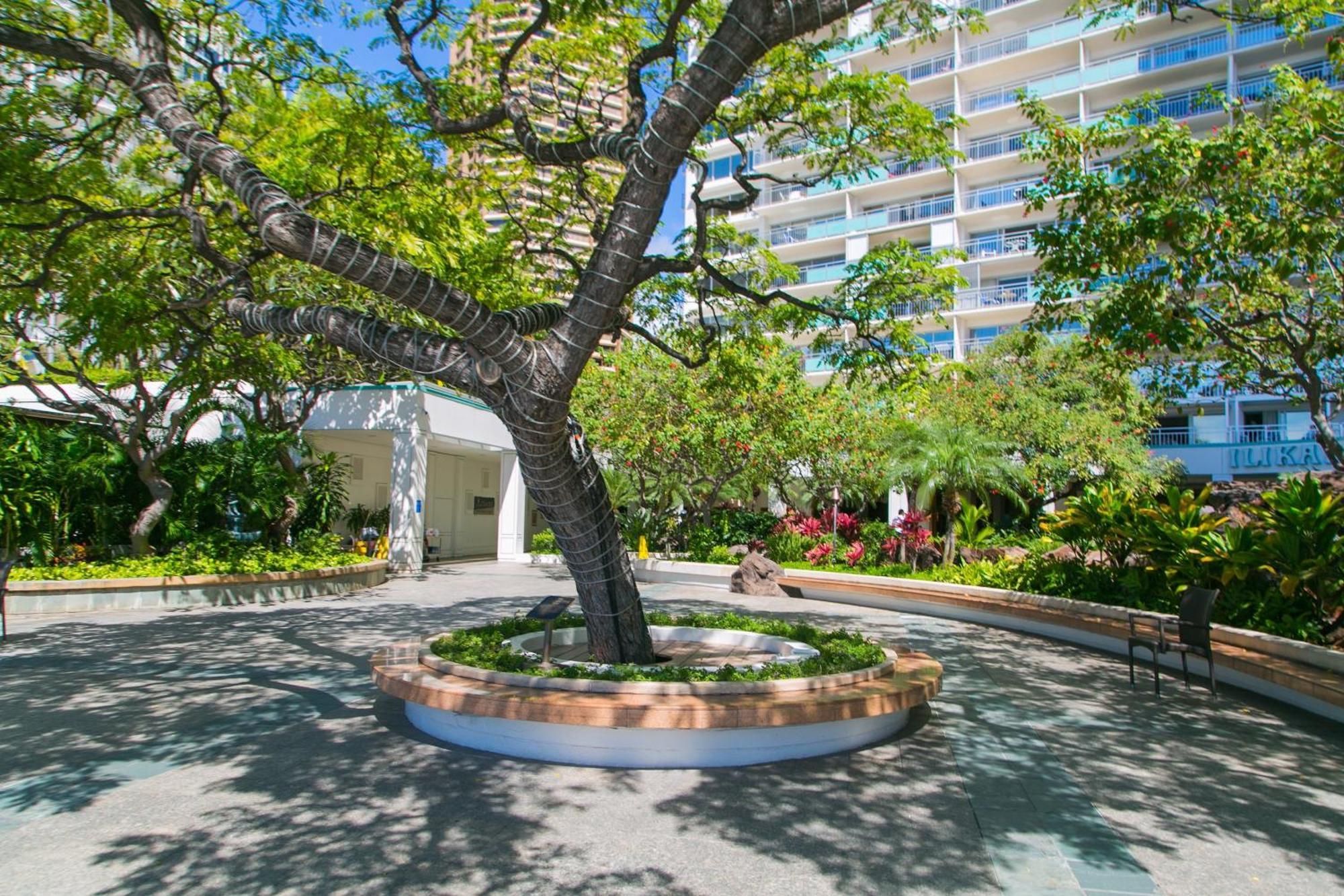 הונולולו Ilikai Tower 525 City View 2Br מראה חיצוני תמונה